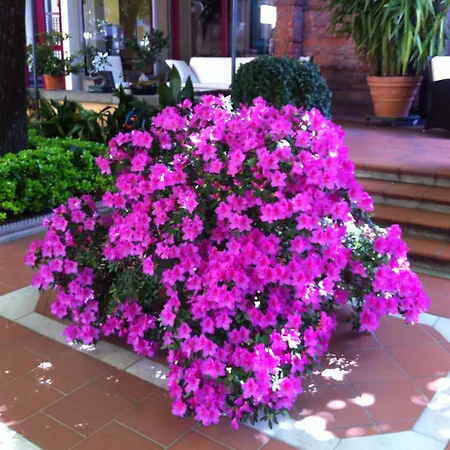 Hotel Reale 3*